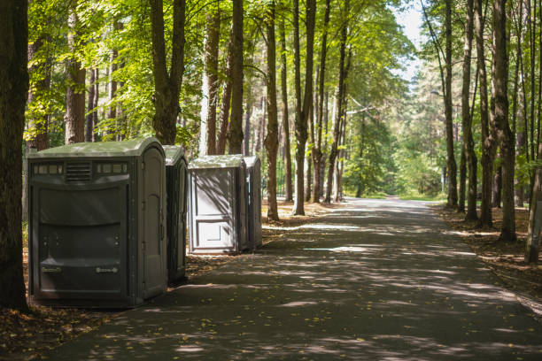 Best Luxury portable toilet rental  in Whiteriver, AZ
